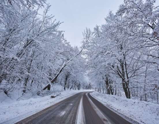 havazás, hó borítja a tájat, a fákat